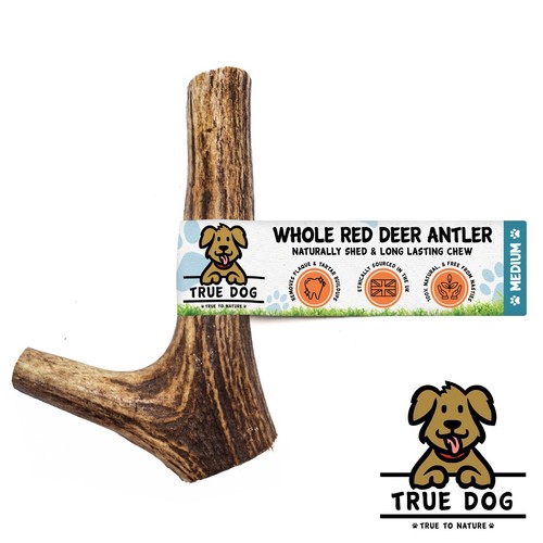 Whole wild antler dog chews - dog,