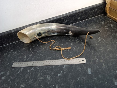 Genuine cow horn - genuine, long