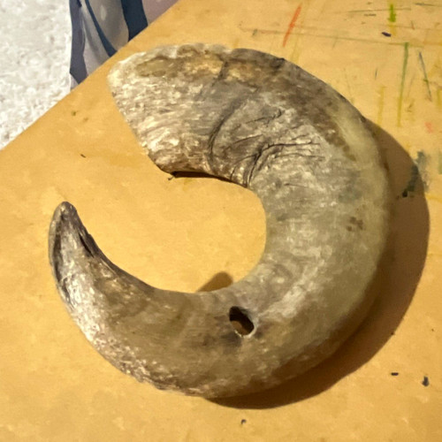 Ram horn natural - ram’s, natural.