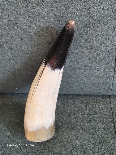 Natural bull horn - natural,