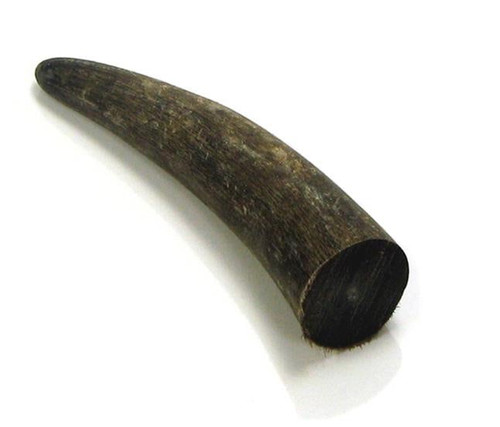 Horn tips for crafting - horn,