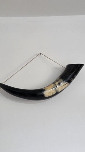 Genuine polished cow - genuine,