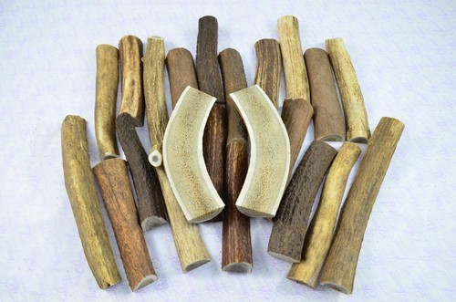 Split deer antler - split,