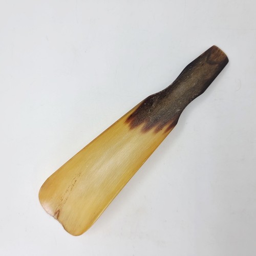 Genuine antique horn - ox,