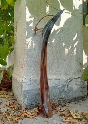 Shoe horn longhandle - horn,