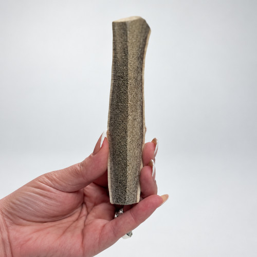 Split deer antler - split,