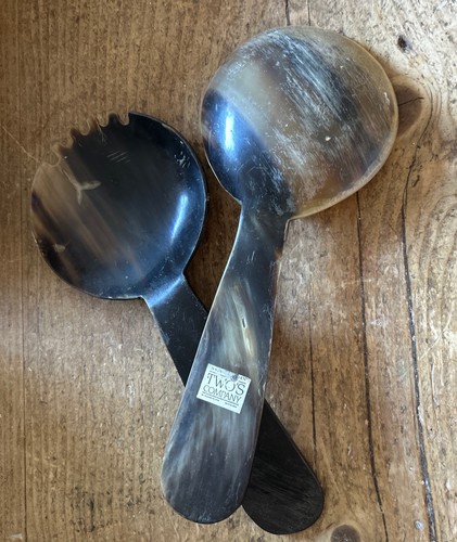 Pair rustic natural horn - of,