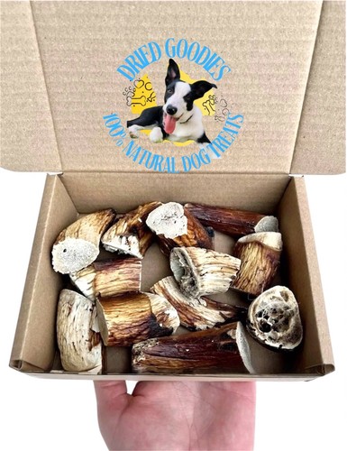 100 organic lamb horn - lamb, marrow