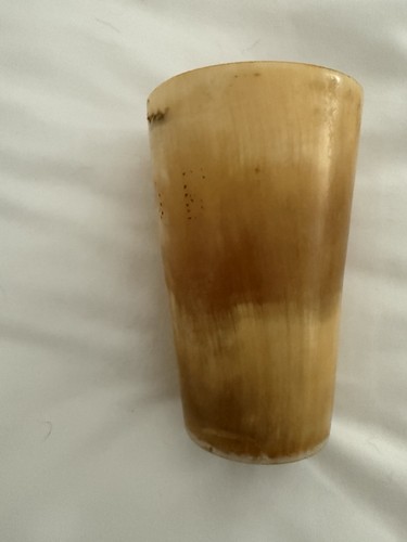 Primitive beige natural - natural, horn