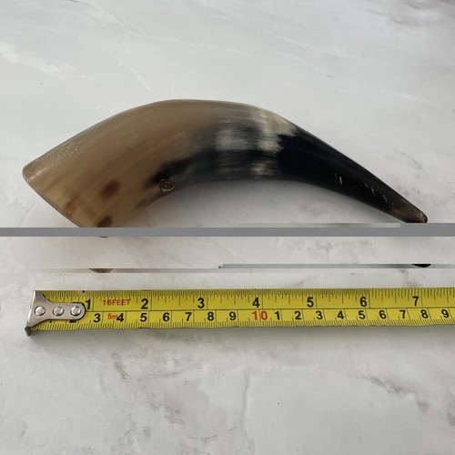 Polished cow horn natural - polished,