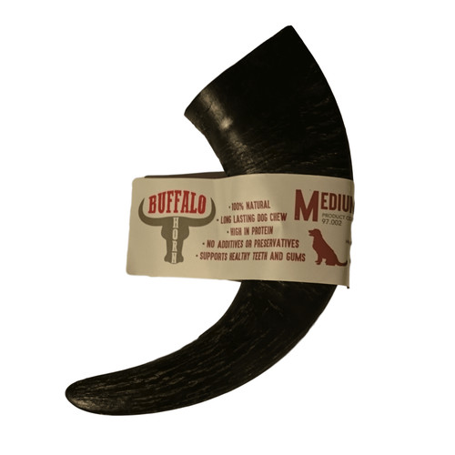 Buffalo horn medium large - horn, :