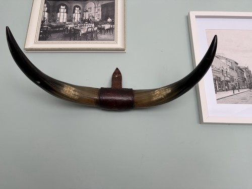 Antique natural horns - horns, wall