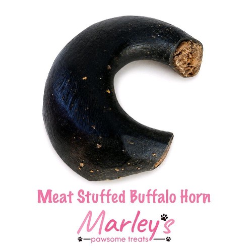Meaty stuffed buffalo - stuffed, horn