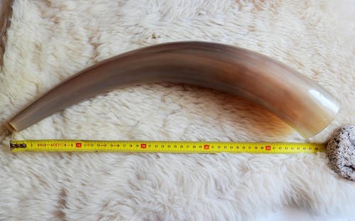 Vikings large natural cow - large,