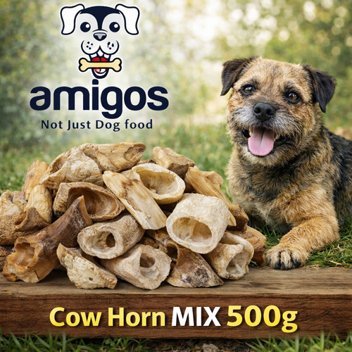 500gm cow horn 100 - cow,