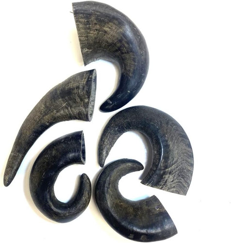 Medium buffalo horns - medium, x