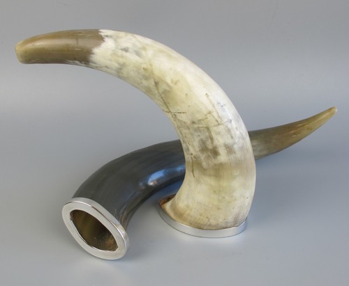 Natural horn ornaments - natural,