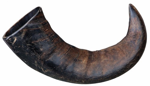 Buffalo horn top quality - top,