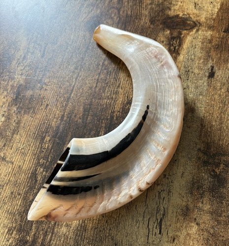 Natural ram horn shofar with - natural,