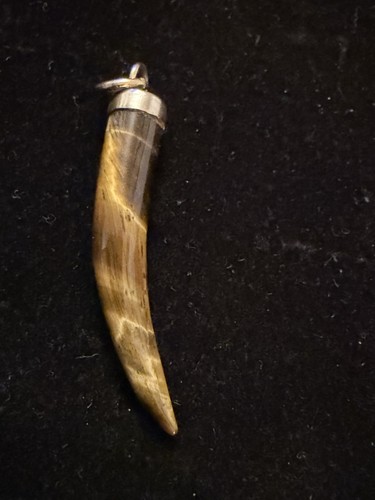 Vintage tigers eye horn - tigers,