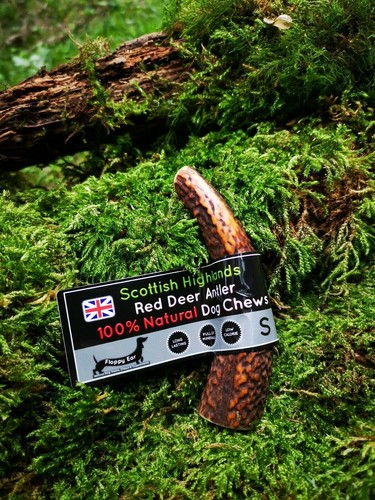 Deer antler dog chew - chew, long