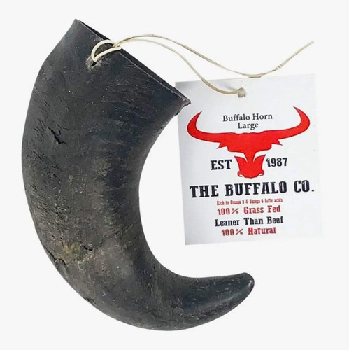 Buffalo horn large - buffalo, inch)