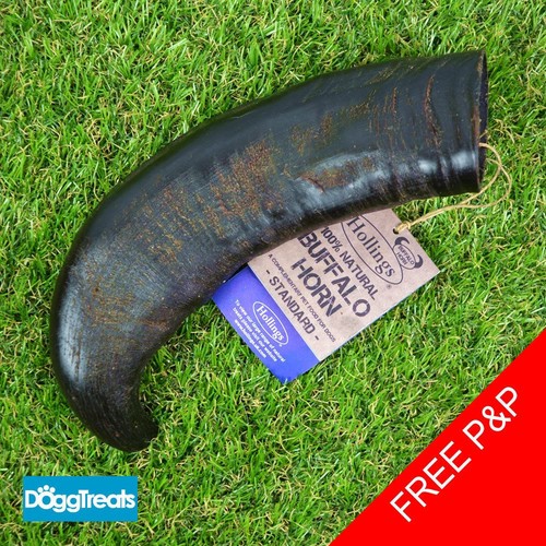 Buffalo horn dog chews - buffalo,