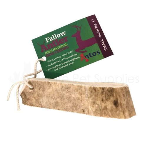 Antos fallow deer - antos, dog