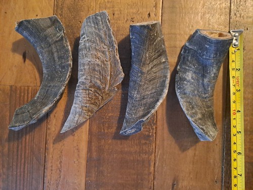 Natural ram horn organic - x,