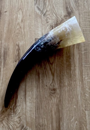 Natural cow horn - natural,