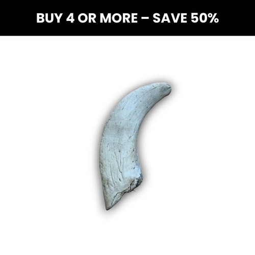 Anco naturals lamb horn marrow - lamb,