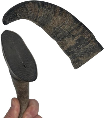 Buffalo horn for - for, dogs