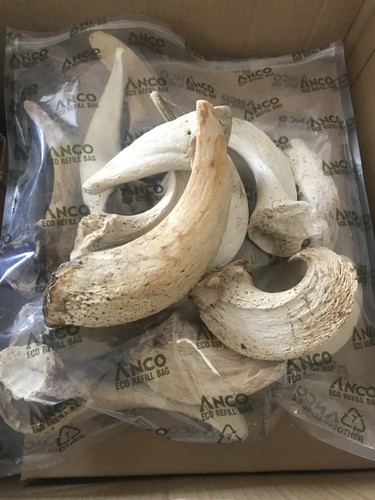 Lamb horn marrow - horn, natural