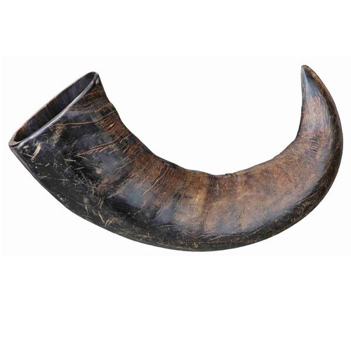 Trixie genuine buffalo horn - trixie,