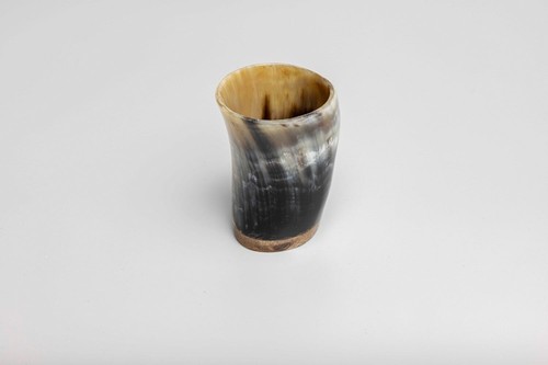 Natural horn drinking shot - drinking,