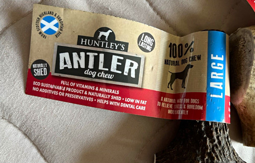 Huntley large deer - deer, antler