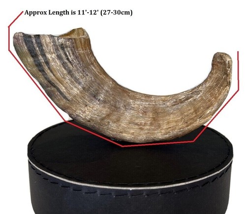 Luxury long lasting dog treat - long,